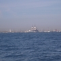 Thumb_8264