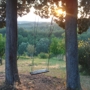 Thumb_dsc06302