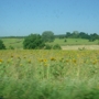 Thumb_dsc06489